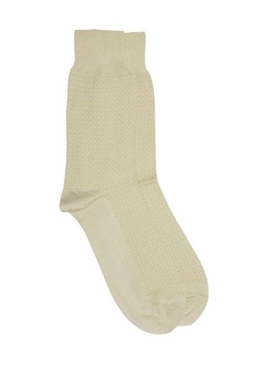 Raymond Men Beige Socks