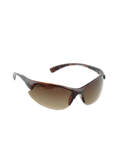 Fastrack Men Brown Sunglasses